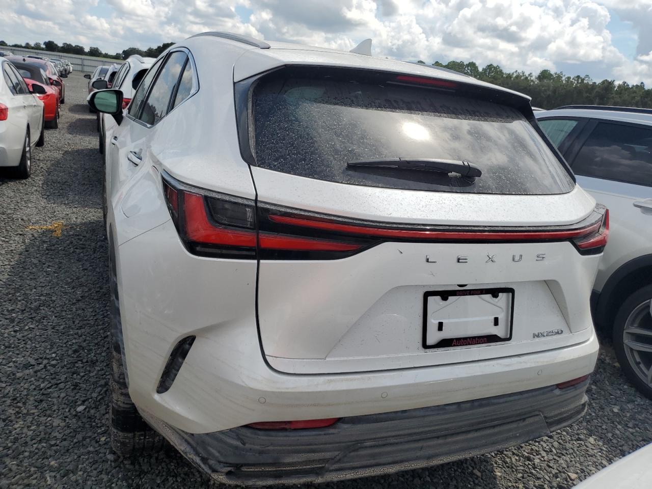 2025 LEXUS NX 250 PRE | WHITE | VIN: 2T2GDCAZXSC020763 — photo 6