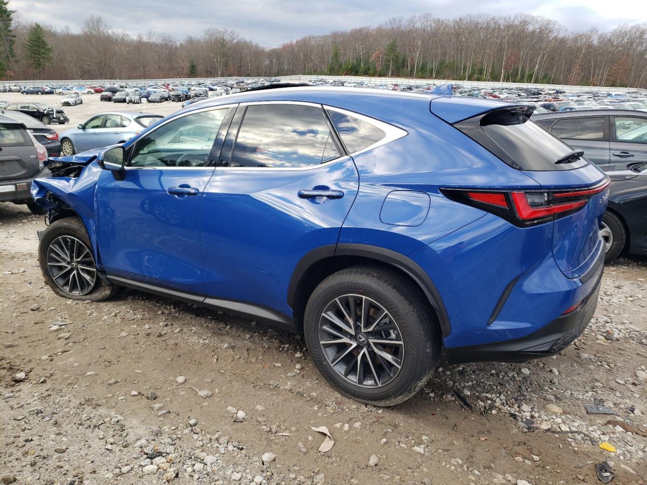 LEXUS NX 350H BA 2025 – 2.5L 4 Performance Vehicle | VIN: 2T2HKCEZ9SC038658 — photo 2